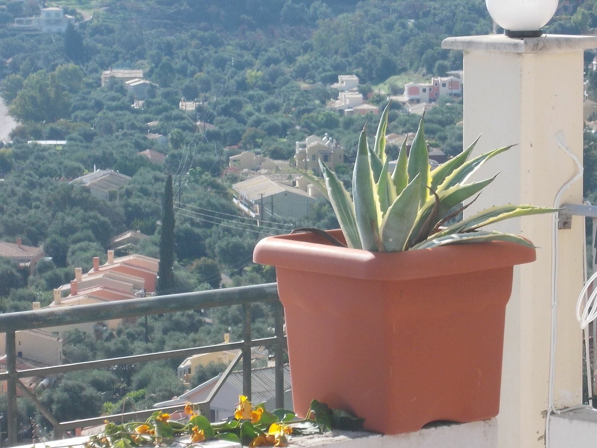 Sarakinos Apartments Barbati Exteriér fotografie