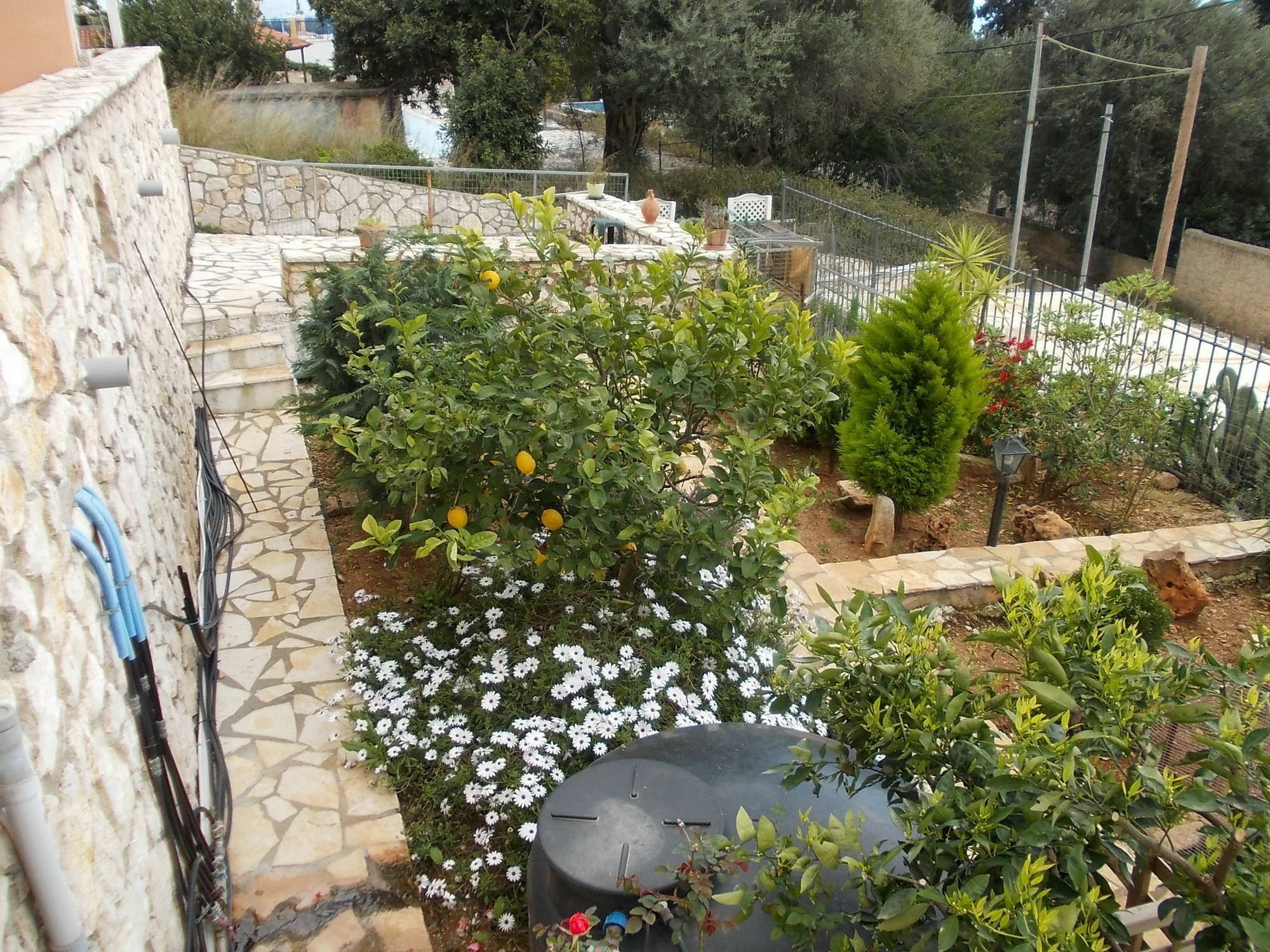 Sarakinos Apartments Barbati Exteriér fotografie